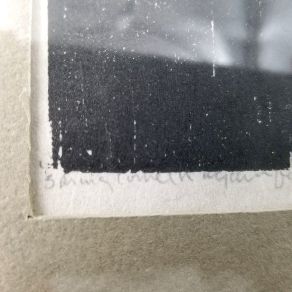 Witch Spring Cometh Again Black White Art Peter McClure Cole Framed Signed #4/6 - Picture 5 of 12